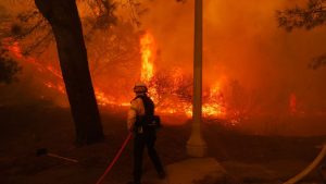 Feuer: Waldbrand bei Los Angeles schlägt Tausende in die Flucht