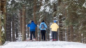 Wintersport: Regionalverbund Thüringer Wald zieht positive Ski-Bilanz