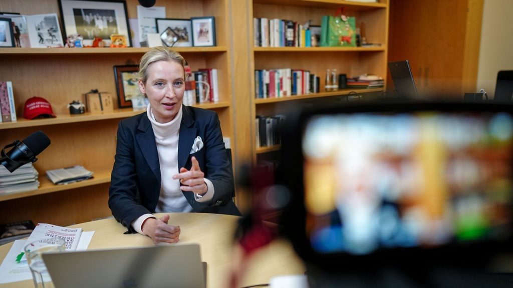 Bundestagswahlkampf: Blind-Date auf X: Musk trifft AfD-Chefin Weidel