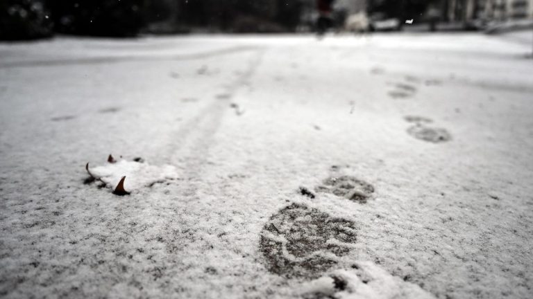 Schnee als Helfer der Polizei: Dank Schuhabdrücken im Schnee: Einbrecher gefasst