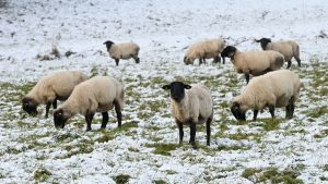 Wetteraussichten: Winterliches Wetter in Hessen