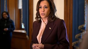 Brände in Los Angeles: US-Vize Kamala Harris sagt Deutschland-Besuch wegen Feuer ab