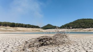 Klimawandel-Rekordjahr: Report: Erderwärmung lag 2024 im Schnitt bei 1,6 Grad