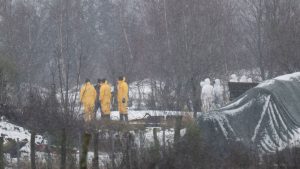 Maul- und Klauenseuche: Tiertransporte in Brandenburg zeitweise verboten