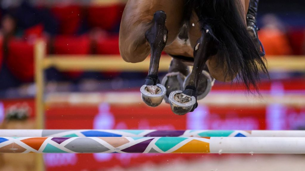 Springreiten: Däne Andersen gewinnt Championat in Brandenburg