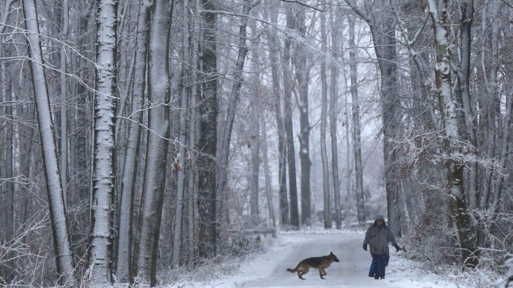 Wald und Holz: Viel Schnee: Landesbetrieb warnt vor herabstürzenden Ästen