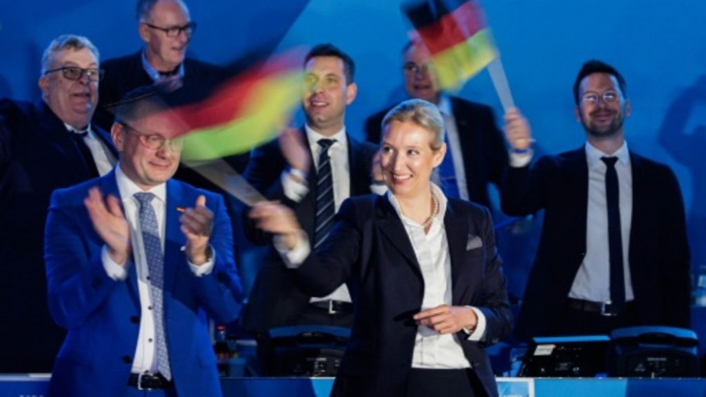 AfD kürt Weidel zur Kanzlerkandidatin - Partei erklärt "Remigration" zum Ziel