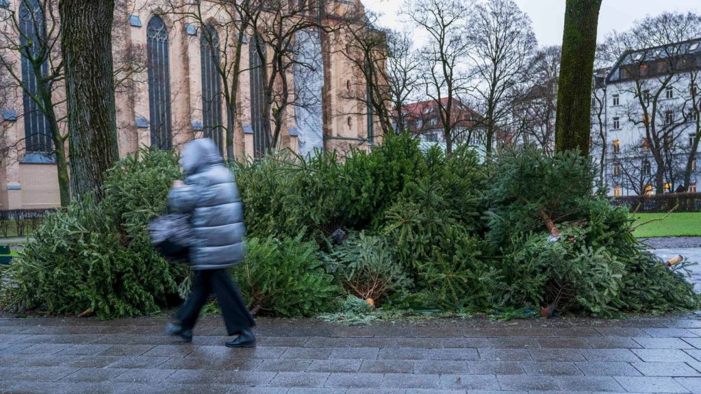 Weihnachten: Wenn der Christbaum weg muss: Sammelstelle oder Wertstoffhof