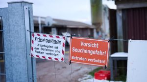 Tierseuche: Analysen zur Maul- und Klauenseuche dauern an