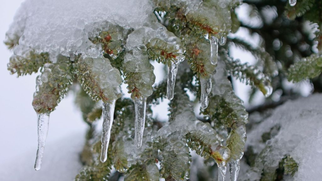 Vorhersage: Frostiger Wochenstart in Sachsen