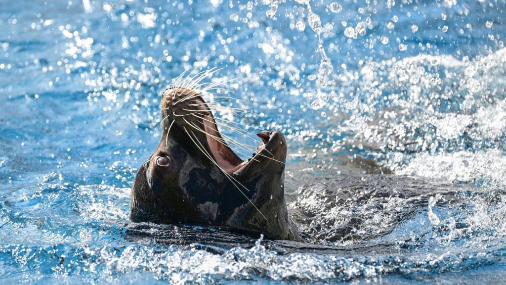 Auszeichnungen: "Zootier des Jahres" wird in Stuttgart gekürt