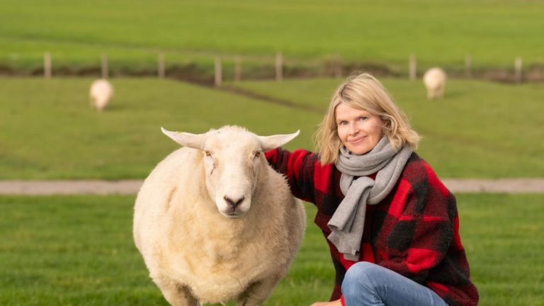 Tierischer Helfer: Wie ausgerechnet ein Lamm das Leben von Anne Hansen gerettet hat