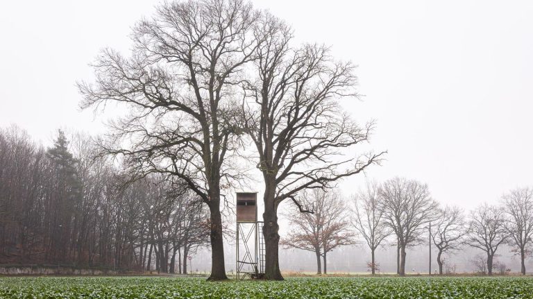 Mecklenburg-Vorpommern: Jäger tödlich von Kugel getroffen – von anderem Jäger