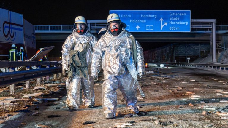 Unfall in Niedersachsen: Lkw rutscht von der Autobahn 1 – 7000 Fische verenden