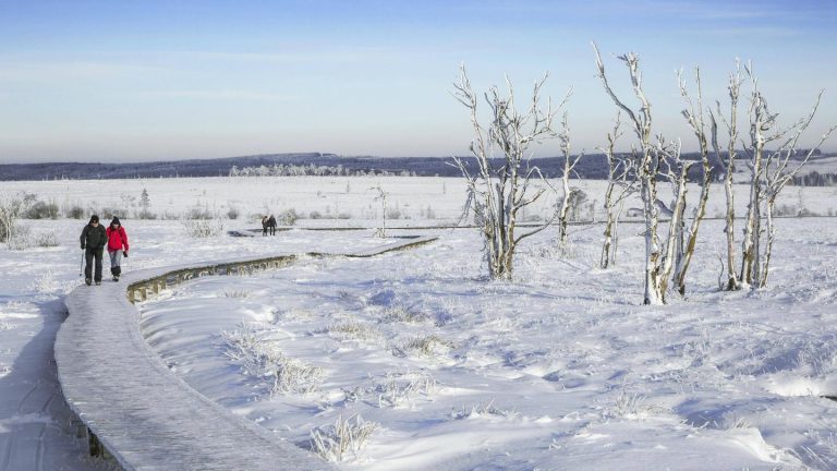 Ein Hoch aufs Gehen: Ode an den Neujahrsspaziergang: Vom großen Glück, ins Leere zu laufen