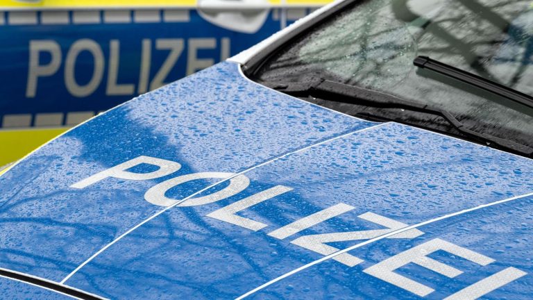 Kontrolle: Polizist in Brandenburg stirbt bei Einsatz gegen Autodiebe