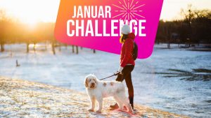 stern-Januar-Challenge: Ihre Aufgabe am 12. Januar: 30 Minuten spazieren gehen