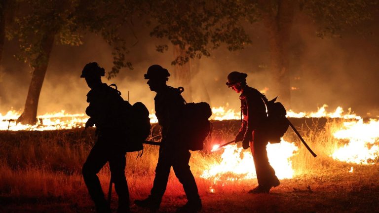 Naturgewalten: Kalifornien in Flammen: Es droht eine verhängnisvolle Waldbrand-Saison