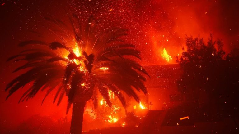 Pacific Palisades: 30.000 Menschen fliehen vor Waldbrand bei Los Angeles